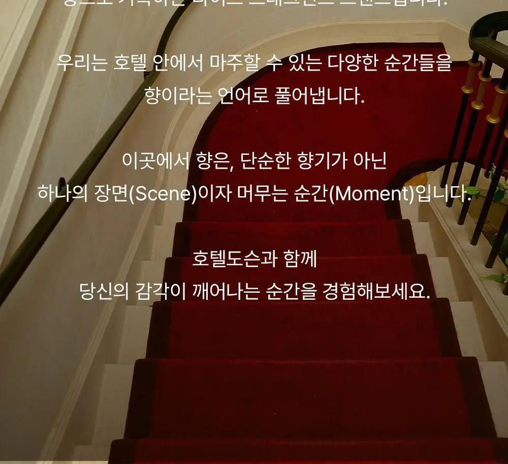 [올영ONLY] 호텔도슨 헤어퍼퓸 20ml 2종 택1+퍼퓸샤쉐 상세페이지 21